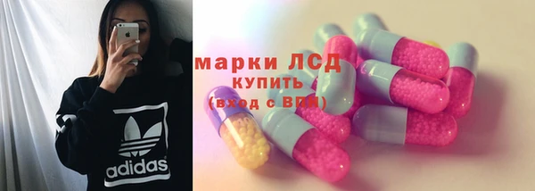 индика Вязьма