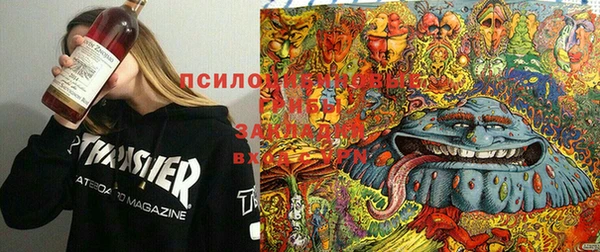 Альфа ПВП Арсеньев